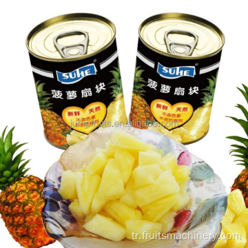 Ananas suyu/reçel/püre işleme tesisi